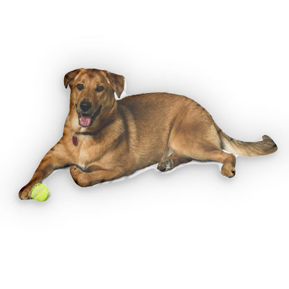 Pet Shaped Pillow